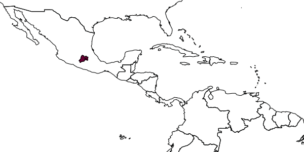 map of Phaenoglyphis stenos     Andrews, 1978